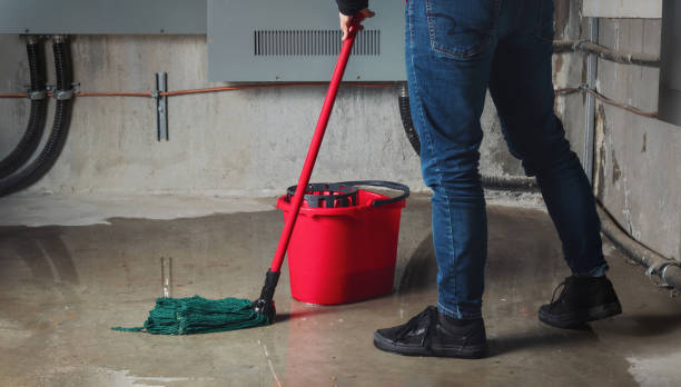 Best Sewage cleanup and water damage restoration  in Jefferson, MD
