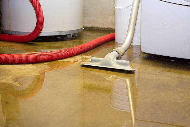 Best Professional water damage repair  in Jefferson, MD