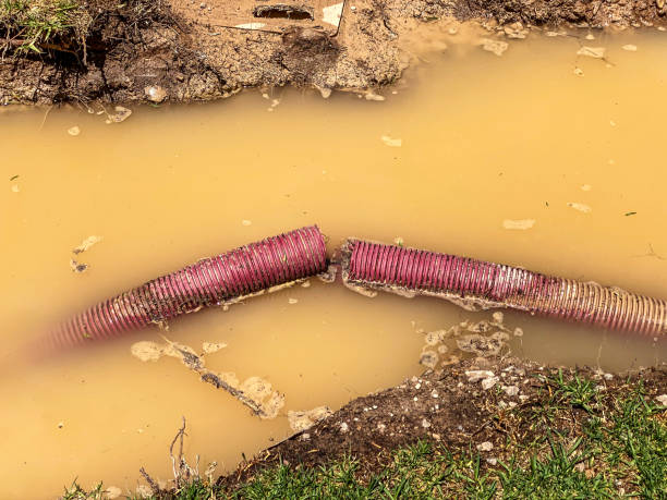 Best Water damage restoration near me  in Jefferson, MD
